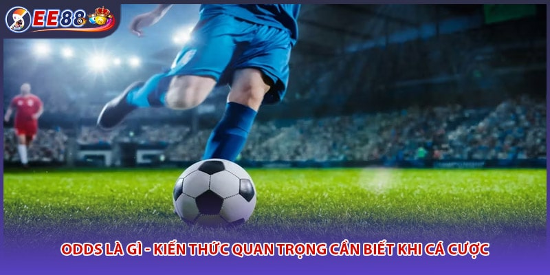 Odds Là Gì - Kiến Thức Quan Trọng Cần Biết Khi Cá Cược
